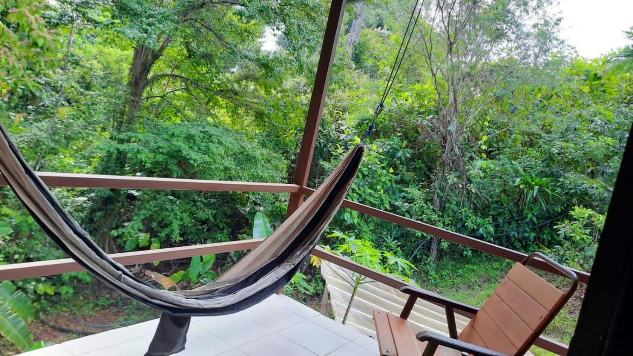 Cabanas Bajo Bosque Drake Drakes Bay 外观 照片