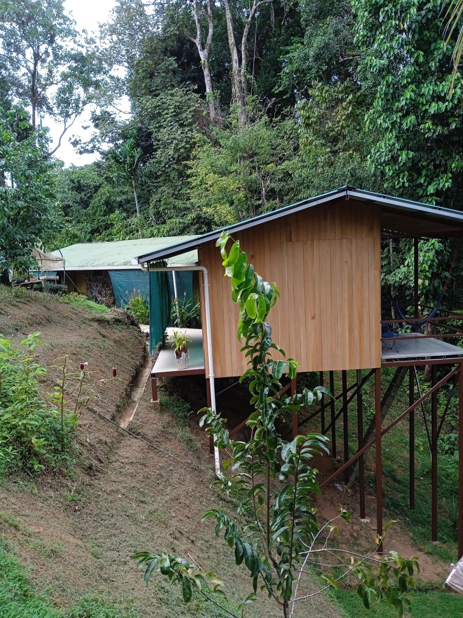 Cabanas Bajo Bosque Drake Drakes Bay 外观 照片
