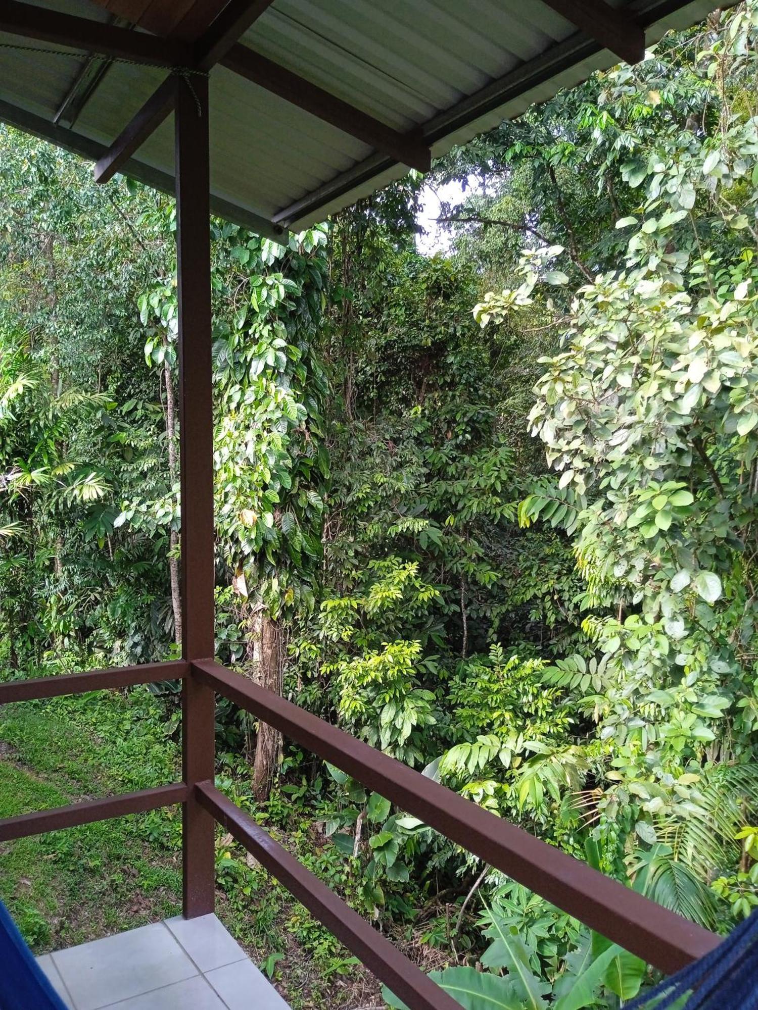 Cabanas Bajo Bosque Drake Drakes Bay 外观 照片