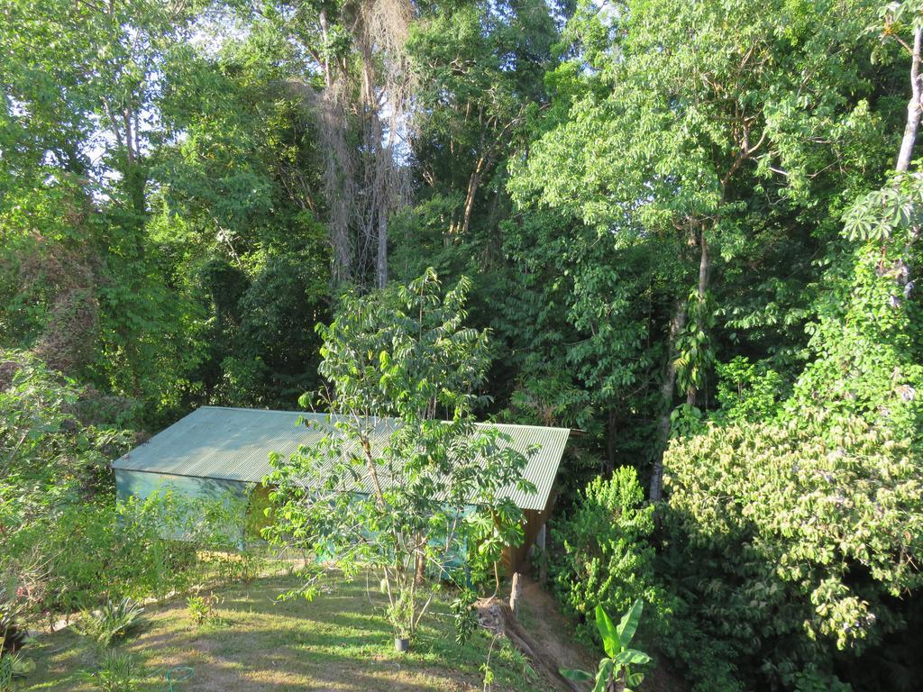 Cabanas Bajo Bosque Drake Drakes Bay 外观 照片
